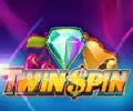 Twin Spin Slot