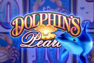 Dolphins Pearl Slot